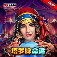 搭羅牌命運