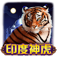 印度神虎